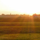 Zon over de weilanden