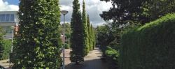 Arenborg: bevoorrecht met bijzondere bomen...