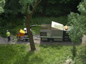 Bomen Snoeien In Slotervaart - © Arnoud De Jong