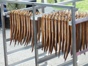 Gerookte Paling Op De Pure Markt - © Arnoud De Jong