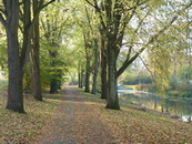 Herfst In Nieuw West - © Arnoud De Jong