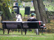 Hond Op Bank Vondelpark - © Arnoud De Jong