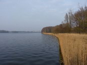 Sloterplas Rietkraag - © Arnoud De Jong