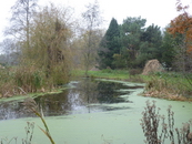 Vijver In Het Siegerpark Sloten - © Arnoud De Jong